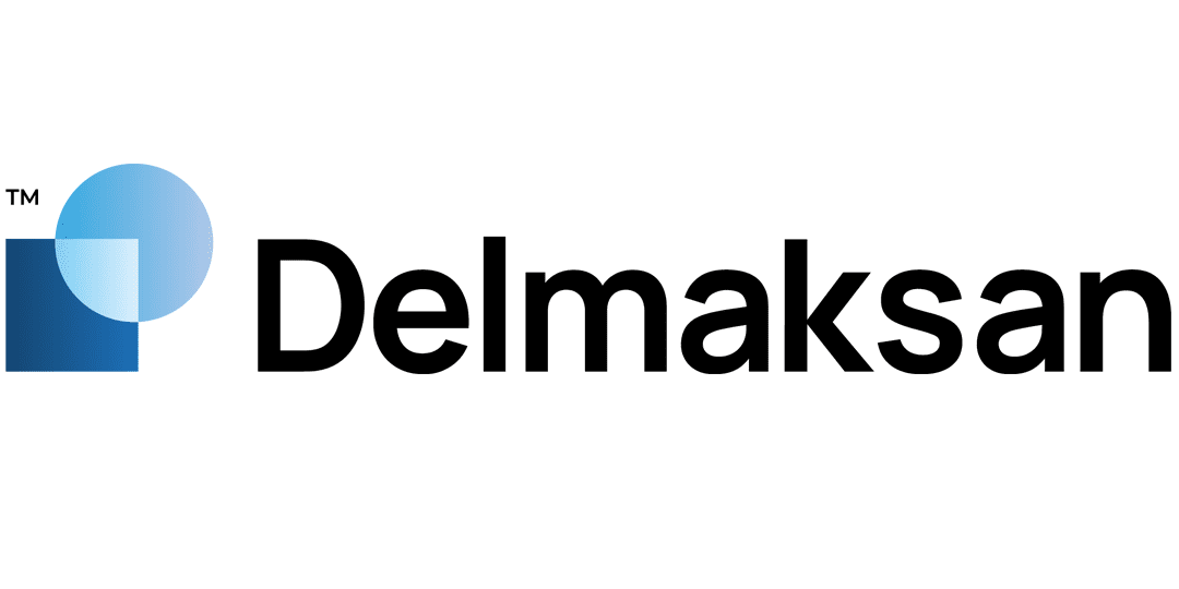 DELMAKSAN DELİKLİ SAC SANAYİ ANONİM ŞİRKETİ Logo