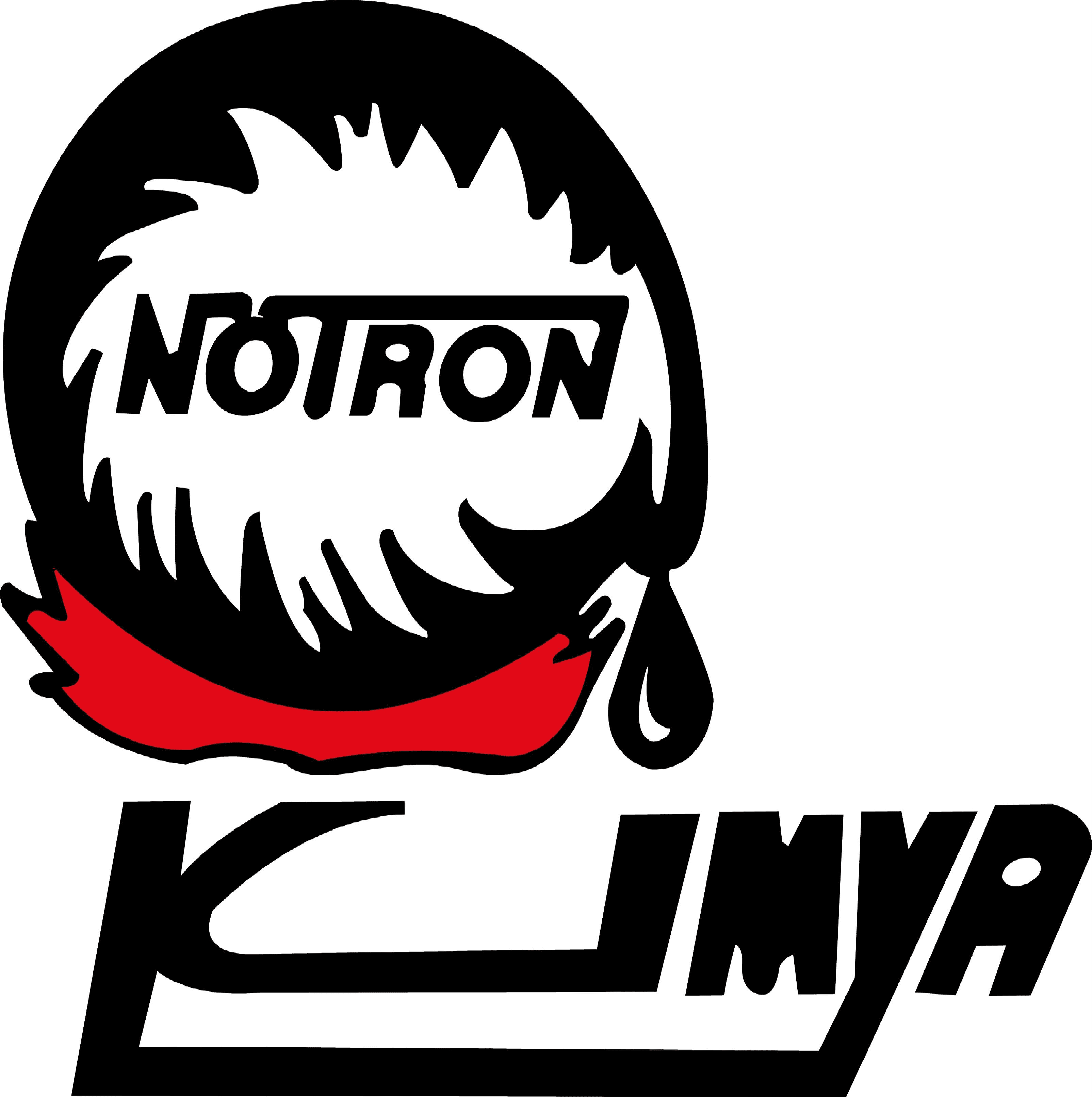 NÖTRON KİMYA İNŞAAT MALZEMELERİ SANAYİ VE TİCARET ANONİM ŞİRKETİ