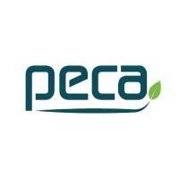 PECA DEKOR PANEL SANAYİ VE TİCARET ANONİM ŞİRKETİ