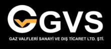 GVS GAZ VALFLERİ SANAYİ VE DIŞ TİCARET LİMİTED ŞİRKETİ