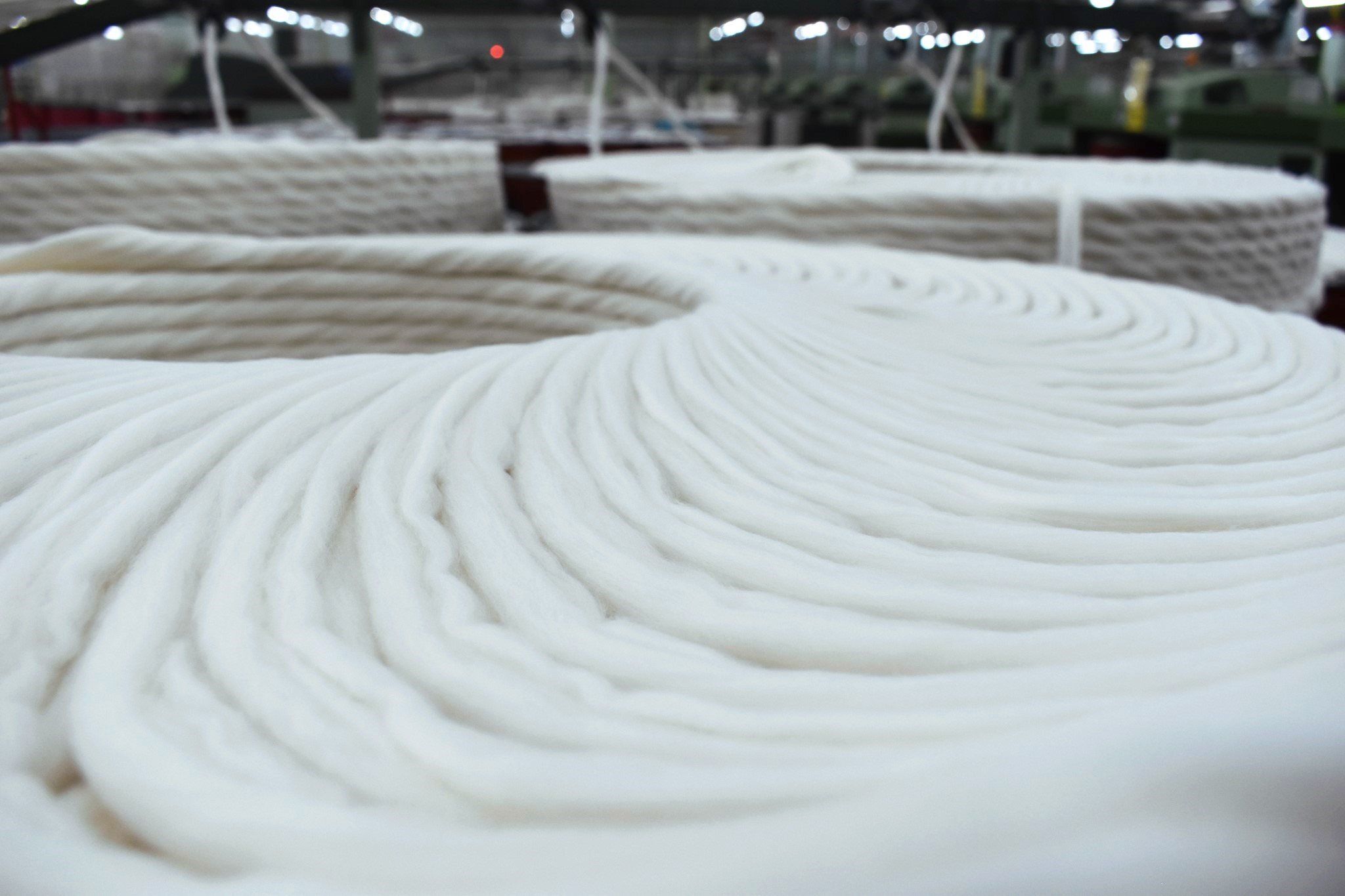 Cotton Yarn