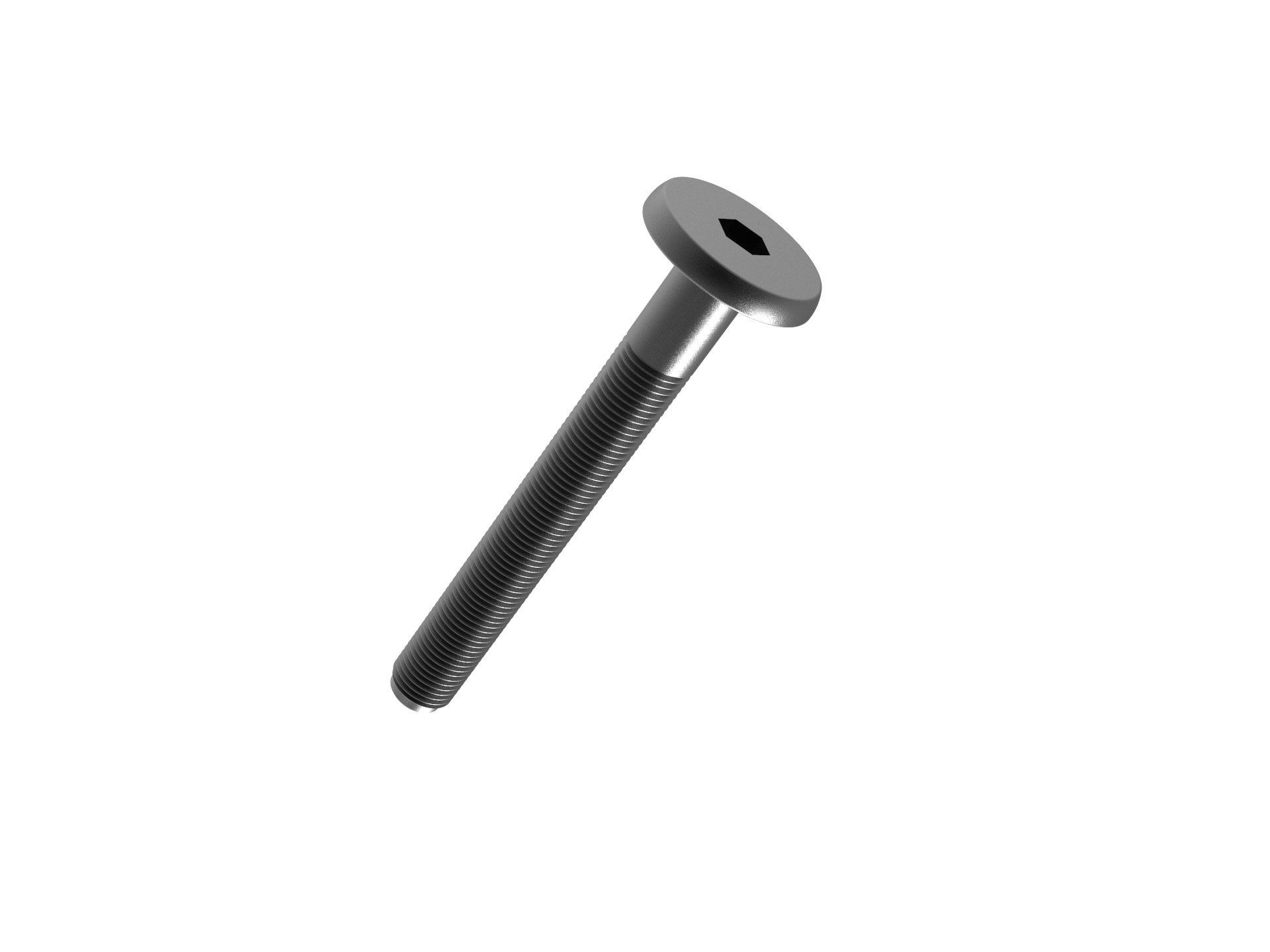 Cylinder Puller Screws