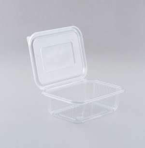 Rectangle Disposable Leak Proof Food Container