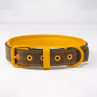 Leather Dog Collar