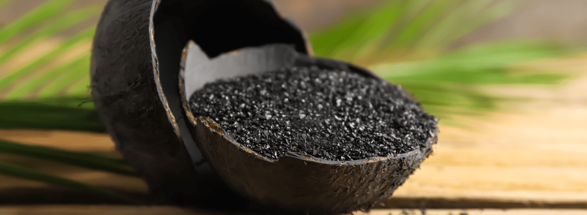 Granular Activated Carbon (GAC)