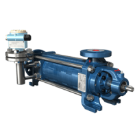 Side Channel Centrifugal Pumps