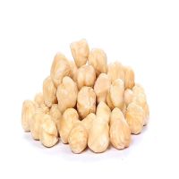 Blanched Hazelnut the sizes 11-13mm, 13-15mm and on request 15+mm.