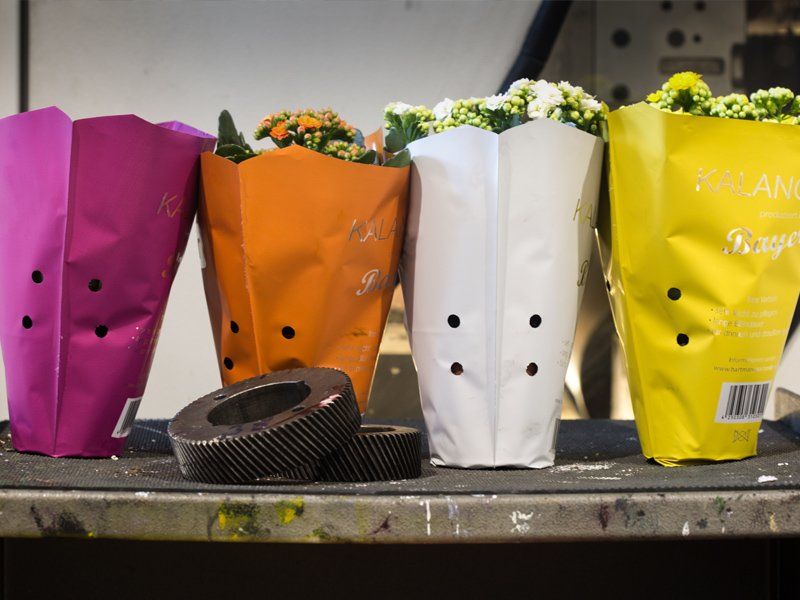 Plastic Conical Bags Sachets for Potted Flowers