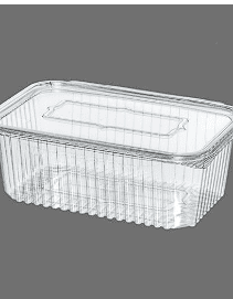 Disposable Plastic Containers