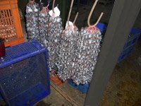 Hot-Dip Galvanizing