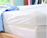 Bed Bug Protected Mattress