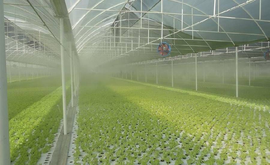 Greenhouse Fog and Irrigation Application