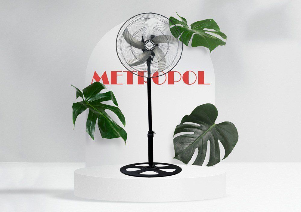 Pedestal Fan