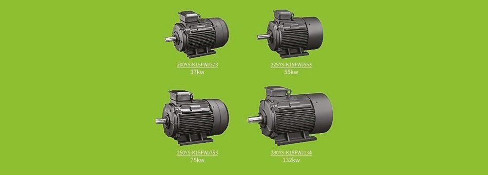 Advantages and Disadvantages of Permanent Magnet Synchronous Motor