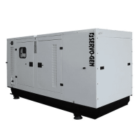 DIESEL GENERATOR