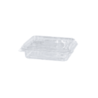 TRANSPARENT PLASTIC HINGED CONTAINER WITH LID