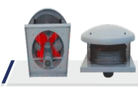 Roof Type Fans