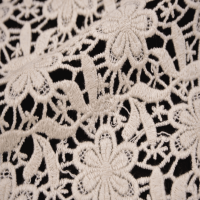 Lace Embroidery