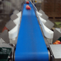 Weight Grader Conveyor