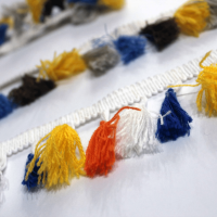 Tassel Fringes