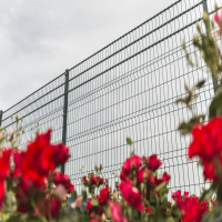 Bat Panel Fence