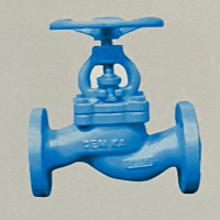 Globe Valve