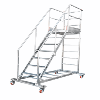 One Side Exit Maintenance Repair Platform Ladders