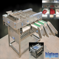 Canned Fruit & Vegetable Production Line