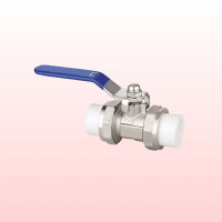 Brass Ball Valve (Double Sided)