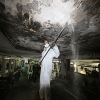 Smoke Damage and Soot Cleaning Services