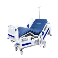 Motorized Bed Hospital Furniture