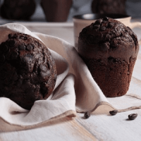 COCOA MUFFIN