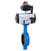 Pneumatic and Motorized Butterfly Valve