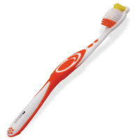 Economic Toothbrushes