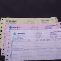 Passenger Transport Ticket