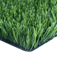 Artificial Grass