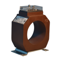 Low Voltage Toroidal Current Transformers