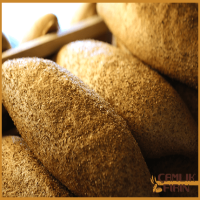 Whole Wheat Bread