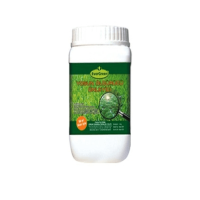 Algae Killer and Preventive Fertilizer