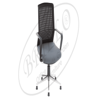 Swivel Guest Chairs