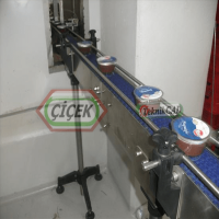 Food Conveyor Systems