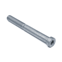 Thin Head Inbus Bolts