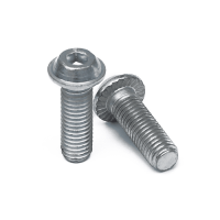 Flange button Head Screws With İnside