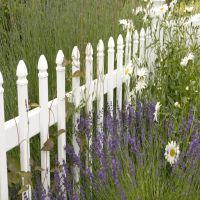 PVC Fence