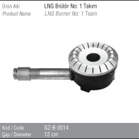 LNG Burners