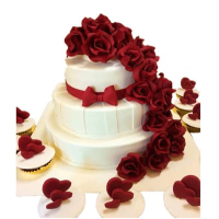 Engagement - Wedding Cake