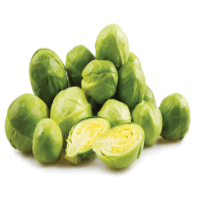 Brussels Cabbage