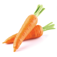 Carrot