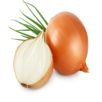 Onion