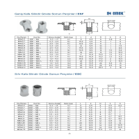 Cylinder Body Open Nut Rivets